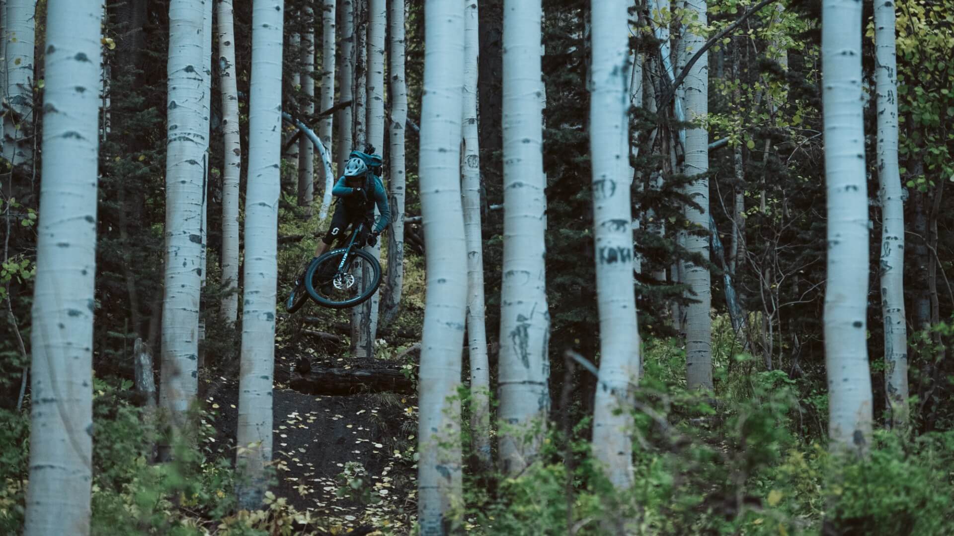 Mountain Biking in Park City